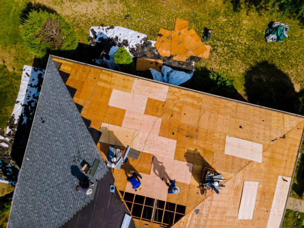 Quick and Trustworthy Emergency Roof Repair Services in Wilkinsburg, PA