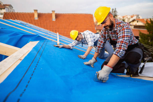 Best Storm Damage Roof Repair  in Wilkinsburg, PA